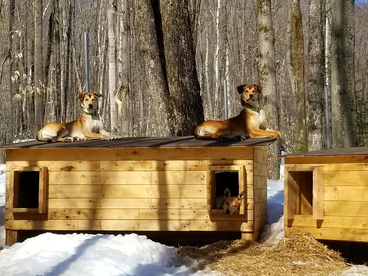 Les Cabines Nordik Des Piles Villa Saint-Jean-des Piles Bagian luar foto