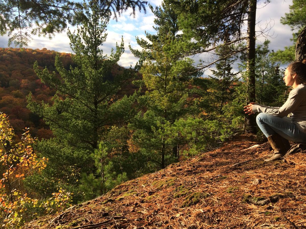 Les Cabines Nordik Des Piles Villa Saint-Jean-des Piles Bagian luar foto
