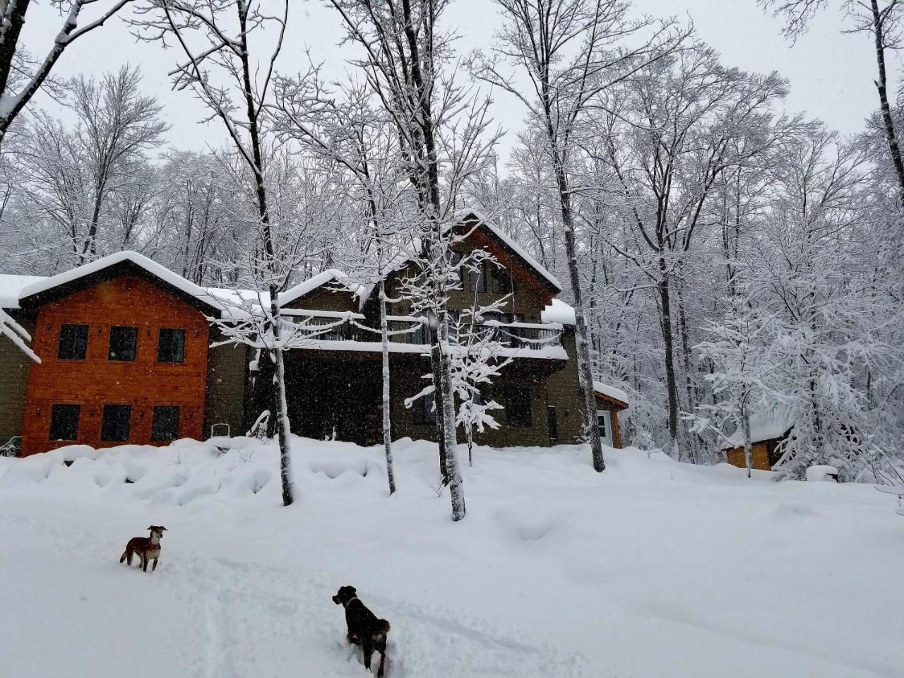 Les Cabines Nordik Des Piles Villa Saint-Jean-des Piles Bagian luar foto