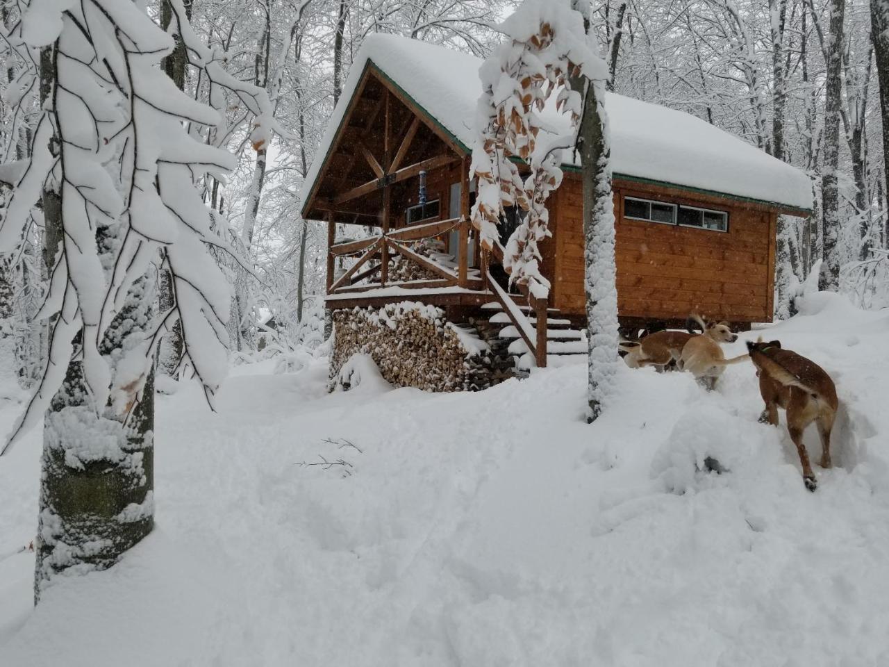 Les Cabines Nordik Des Piles Villa Saint-Jean-des Piles Bagian luar foto