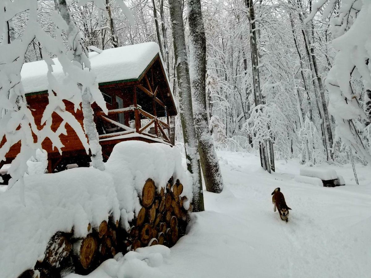 Les Cabines Nordik Des Piles Villa Saint-Jean-des Piles Bagian luar foto