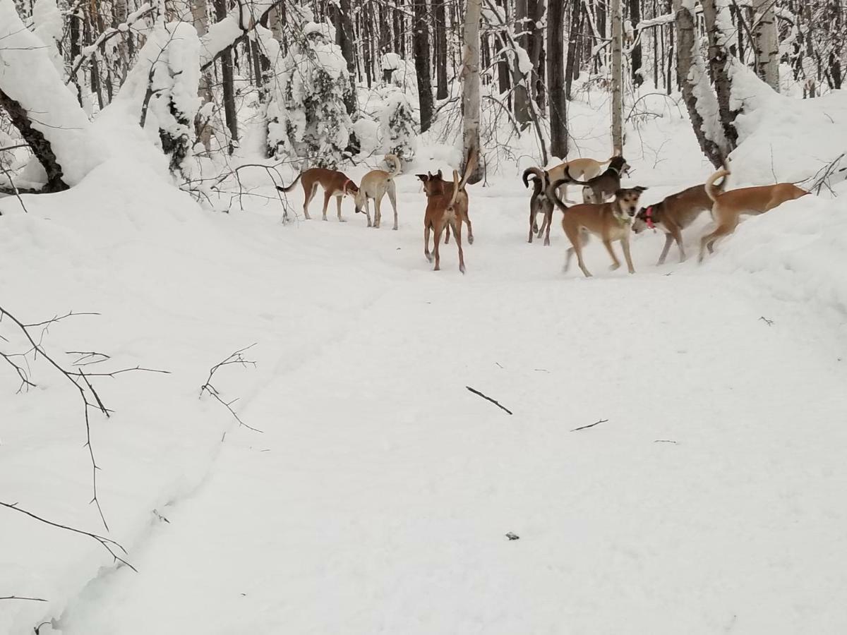 Les Cabines Nordik Des Piles Villa Saint-Jean-des Piles Bagian luar foto